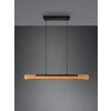 Trio Kerala Pendelleuchte LED Schwarz, 1-flammig