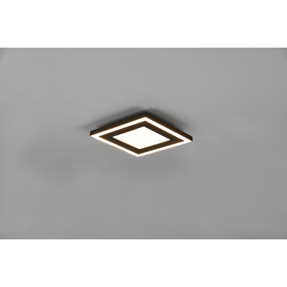 Reality Carus Deckenleuchte LED Schwarz, 1-flammig main product photo