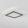 Wawo Deckenpanel LED Weiß, 1-flammig, Fernbedienung