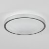 Subles Deckenleuchte LED Silber, Weiß, 1-flammig, Bewegungsmelder