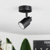Nestavel Deckenleuchte LED Schwarz, 1-flammig