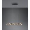 Trio Sequence Pendelleuchte LED Messing, Schwarz, 1-flammig
