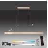 Paul Neuhaus PURE-MOTO Pendelleuchte LED Messing, 3-flammig, Fernbedienung