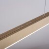 Paul Neuhaus PURE-MOTO Pendelleuchte LED Messing, 3-flammig, Fernbedienung