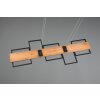 Trio Harper Pendelleuchte LED Schwarz, 1-flammig