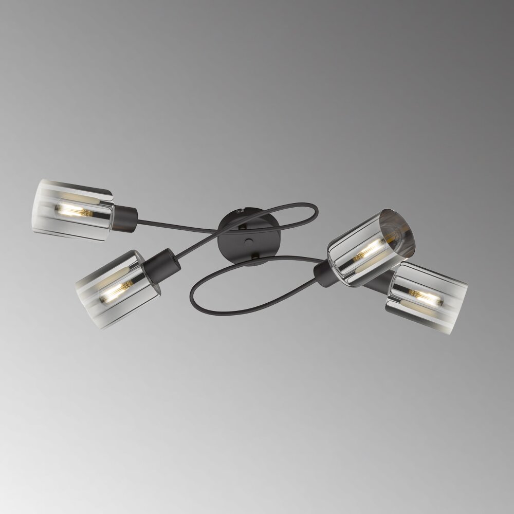 Fischer & Honsel Iska Deckenleuchte Schwarz, 4-flammig main product photo