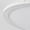Sani Deckenpanel LED Weiß, 1-flammig, Fernbedienung, Farbwechsler