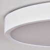 Pontchardon Deckenleuchte LED Weiß, 1-flammig