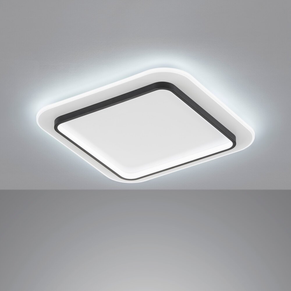 Fischer & Honsel Blithe Deckenleuchte LED Schwarz, Weiß, 1-flammig main product photo