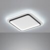 Fischer & Honsel Blithe Deckenleuchte LED Schwarz, Weiß, 1-flammig