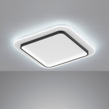 Fischer & Honsel Blithe Deckenleuchte LED Schwarz, Weiß, 1-flammig