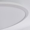 Montalba Deckenpanel LED Weiß, 1-flammig, Fernbedienung, Farbwechsler