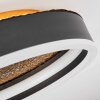 Guine Deckenleuchte LED Gold, Schwarz, 1-flammig