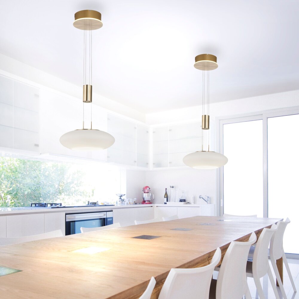 Paul Neuhaus Q-ETIENNE Pendelleuchte LED Messing, 1-flammig, Fernbedienung main product photo