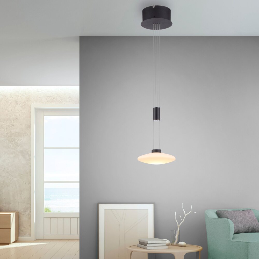 Paul Neuhaus LAUTADA Pendelleuchte LED Schwarz, 1-flammig main product photo