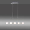 Paul Neuhaus HYDRA Pendelleuchte LED Stahl gebürstet, 5-flammig