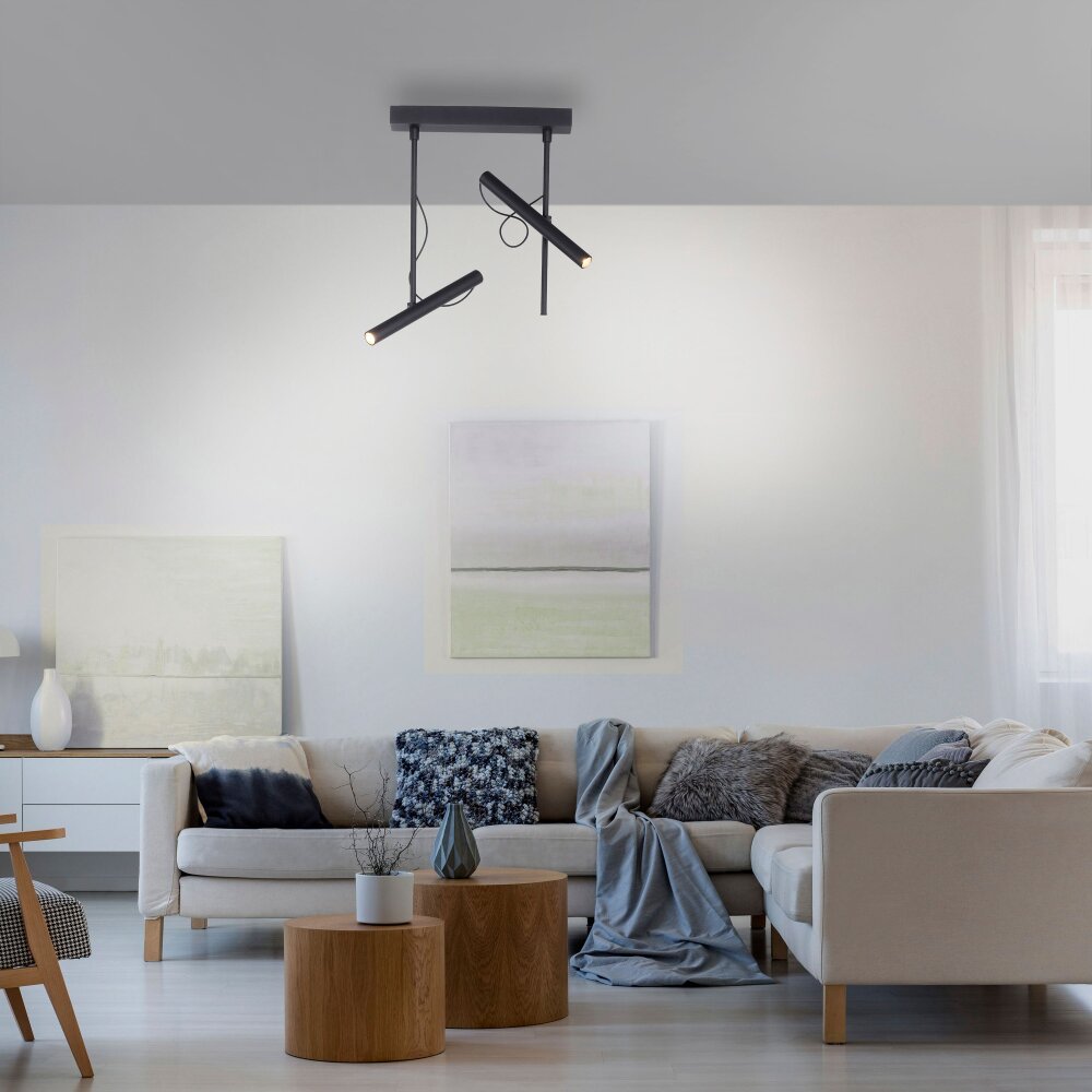 Paul Neuhaus PURE-TUTUA Deckenleuchte LED Schwarz, 2-flammig main product photo