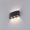 Paul Neuhaus CARLO Wandleuchte LED Anthrazit, 6-flammig