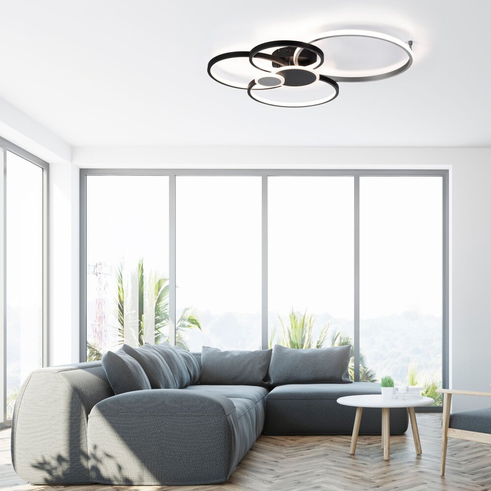 Leuchten Direkt PAPILON Deckenleuchte LED Schwarz, 1-flammig main product photo