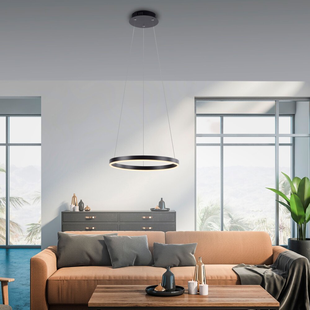 Leuchten Direkt RITUS Hängeleuchte LED Anthrazit, 1-flammig main product photo