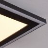 Audrieu Deckenpanel LED Schwarz, 2-flammig
