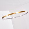 Canisteo Hängeleuchte LED Gold, 1-flammig