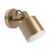 Eglo SOUTHERY Wandleuchte Gold, 1-flammig