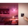 Philips Hue Tap Dial Schalter Schwarz