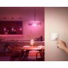 Philips Hue Tap Dial Schalter Weiß