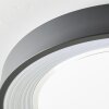 Brilliant Florella Deckenleuchte LED Schwarz, Weiß, 1-flammig, Fernbedienung, Farbwechsler