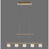 Paul Neuhaus HYDRA Pendelleuchte LED Messing, 5-flammig