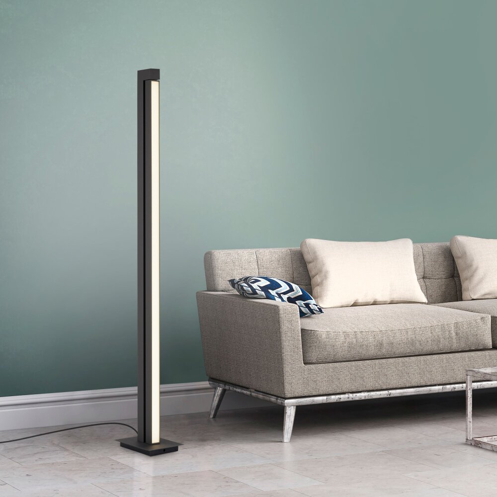 Paul Neuhaus PURE-LINES Stehleuchte LED Anthrazit, 1-flammig, Fernbedienung main product photo