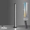 Paul Neuhaus PURE-LINES Stehleuchte LED Anthrazit, 1-flammig, Fernbedienung