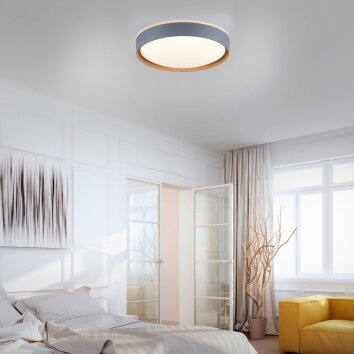 Paul Q - alle Infos Smart Home System Lampe.de
