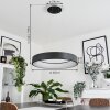 Areja Pendelleuchte LED Anthrazit, Weiß, 1-flammig