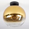 Koyoto Deckenleuchte Glas 30 cm Gold, Klar, 1-flammig