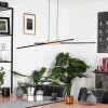 Meiral Pendelleuchte LED Schwarz, 2-flammig