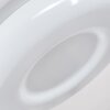 iDual Daphnis Deckenleuchte LED Silber, Weiß, 1-flammig, Fernbedienung, Farbwechsler