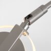 Steinhauer Turound Stehleuchte LED Stahl gebürstet, 1-flammig