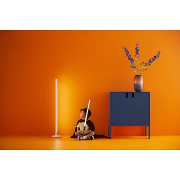 Philips WiZ Pole Floor Light Tischleuchte LED Weiß, 1-flammig, Farbwechsler