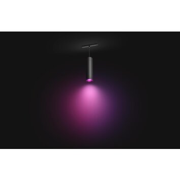 Philips Hue Perifo Erweiterungspendel LED Schwarz, 1-flammig, Farbwechsler