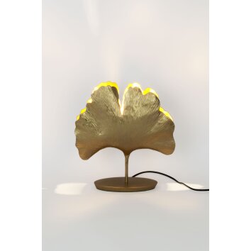 Holländer GINGKO Tischleuchte Gold, 1-flammig