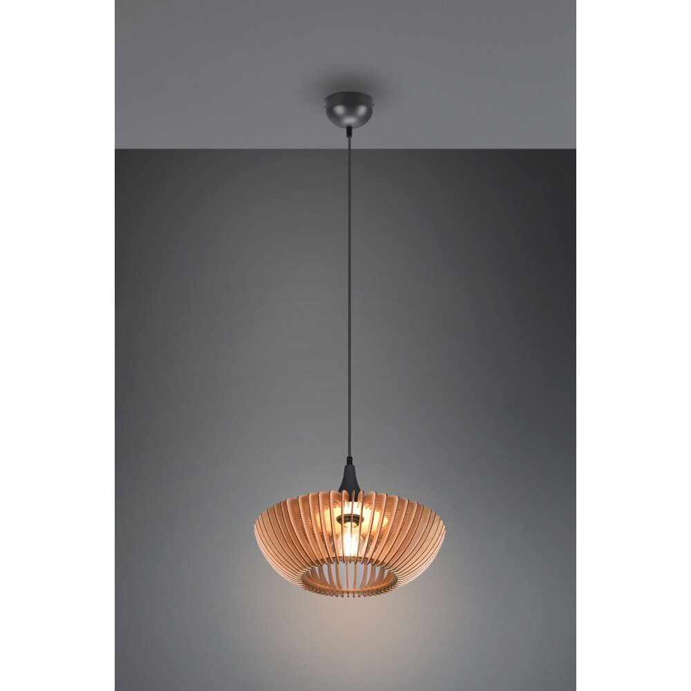 Trio Colino Pendelleuchte Anthrazit, 1-flammig main product photo