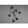 Trio Roxie Pendelleuchte Messing, Schwarz, 6-flammig