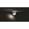 Philips Hue Buckram Deckenleuchte LED Weiß, 1-flammig, Fernbedienung