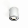 Philips Hue Pillar Deckenleuchte LED Weiß, 1-flammig