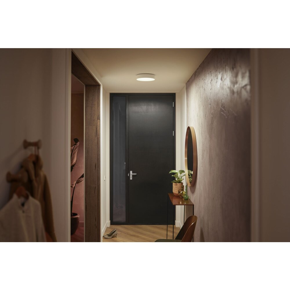 Philips Hue Enrave Deckenleuchte LED Weiß, 1-flammig, Fernbedienung main product photo