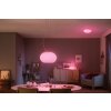 Philips Hue Flourish Pendelleuchte LED Weiß, 1-flammig, Farbwechsler