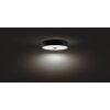 Philips Hue Fair Deckenleuchte LED Schwarz, 1-flammig, Fernbedienung