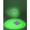 Paul Neuhaus Q-Fisheye Tischleuchte LED Edelstahl, 2-flammig, Fernbedienung, Farbwechsler
